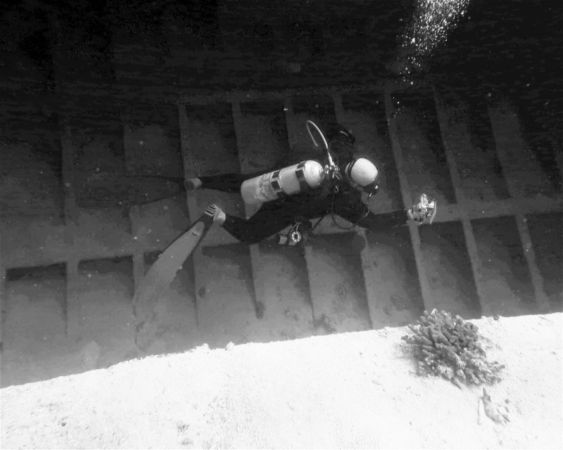Divesite Image