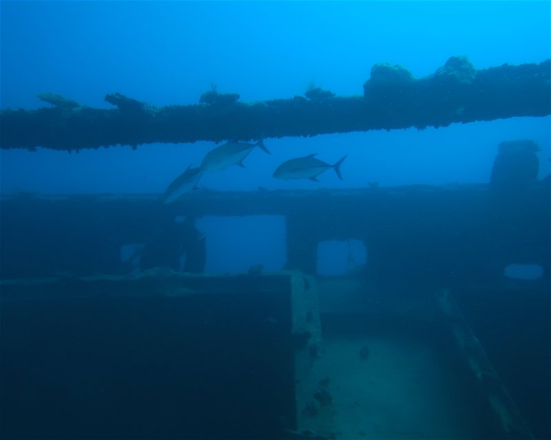 Divesite Image