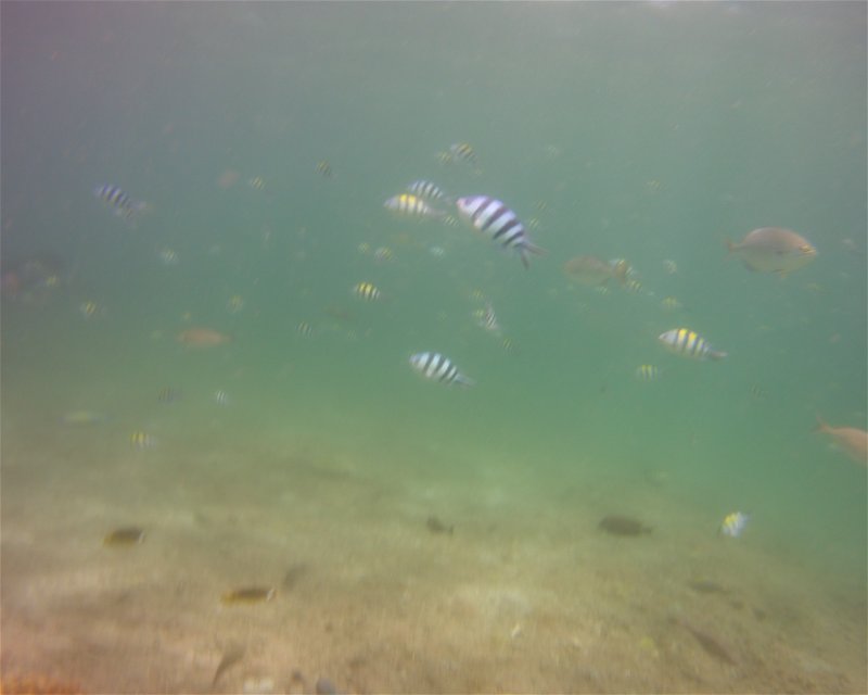Divesite Image