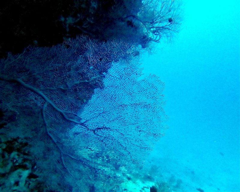 Divesite Image