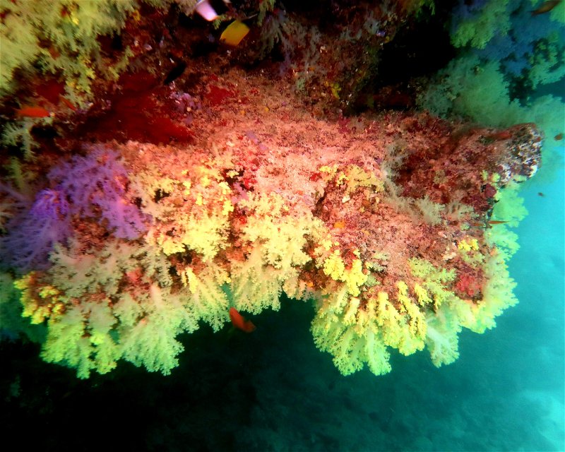 Divesite Image