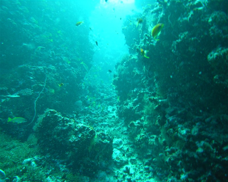 Divesite Image