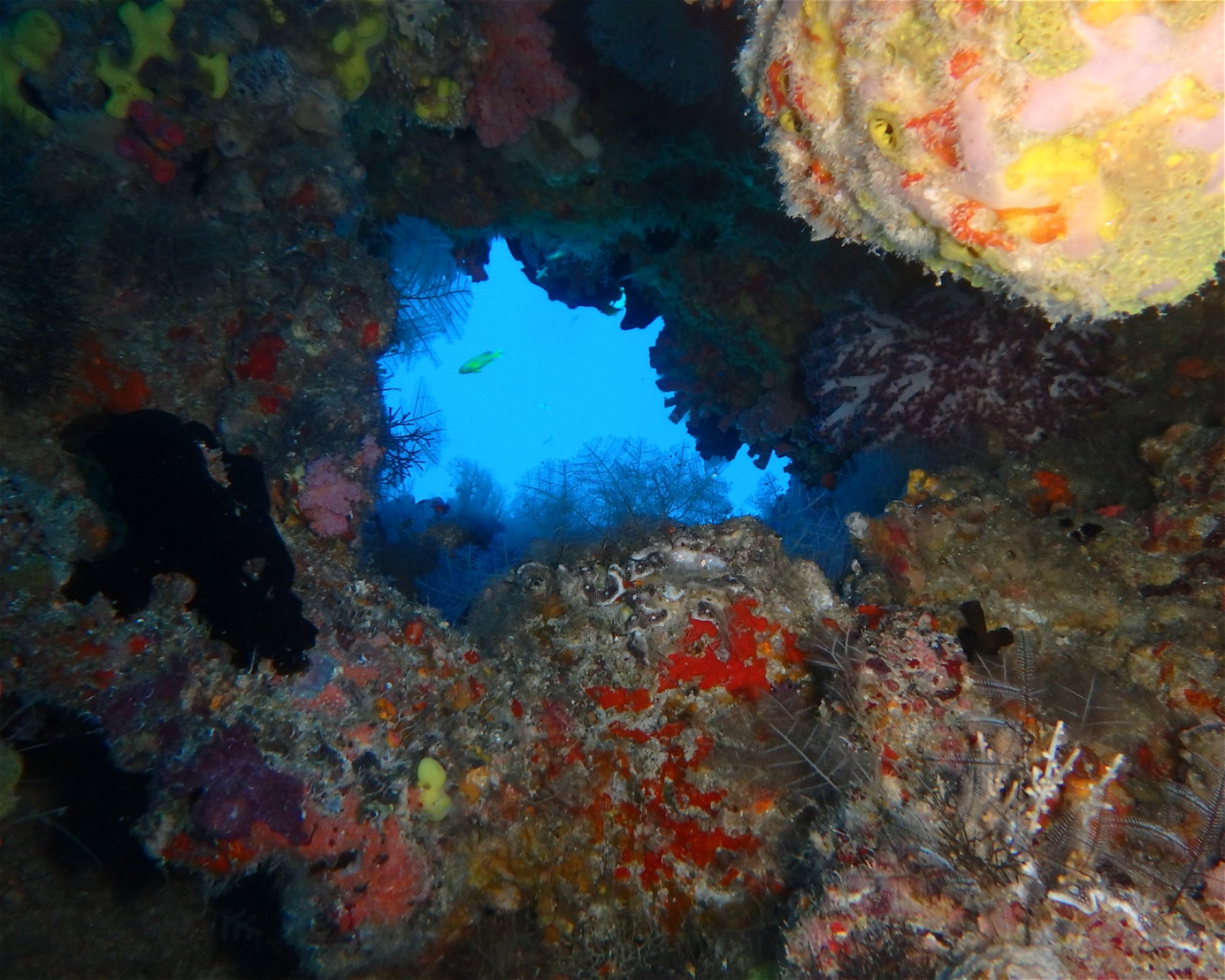 DivePoint Meedhupparu, 960 Meedhupparu