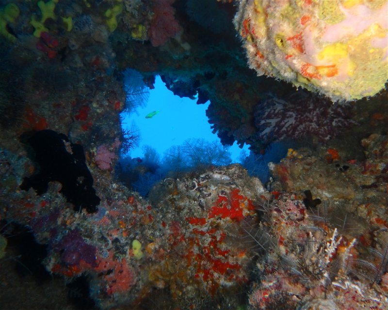 Divesite Image