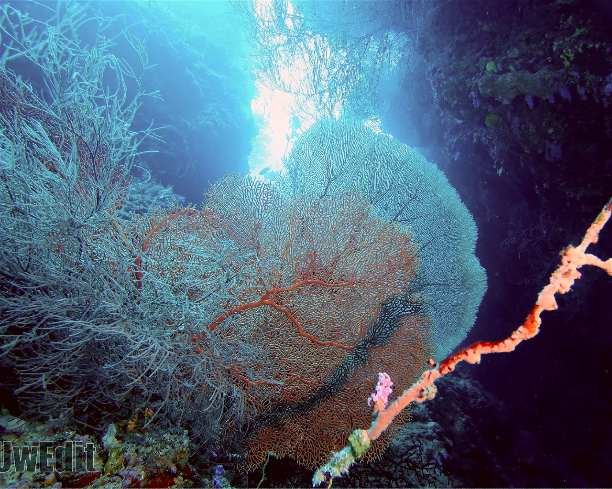 DivePoint Meedhupparu, 960 Meedhupparu
