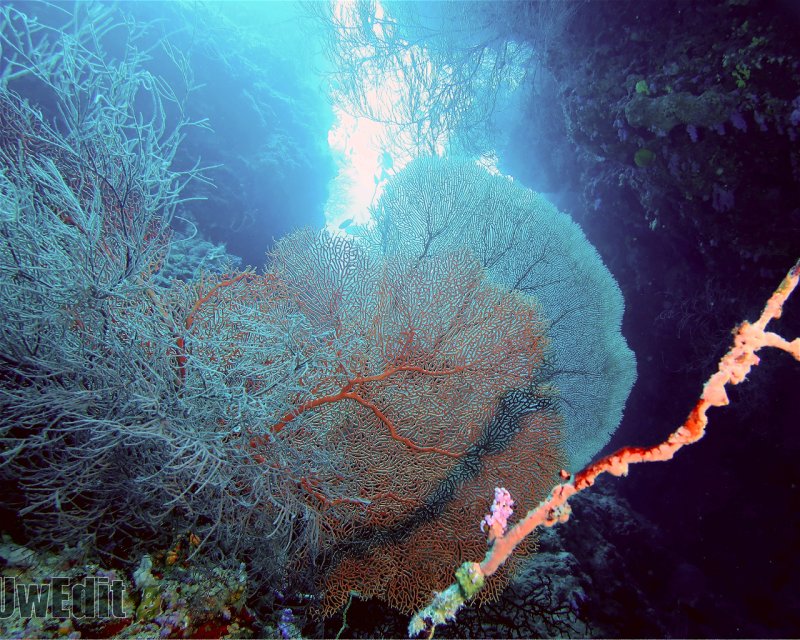 Divesite Image