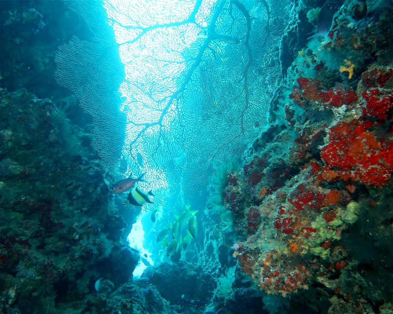 Divesite Image