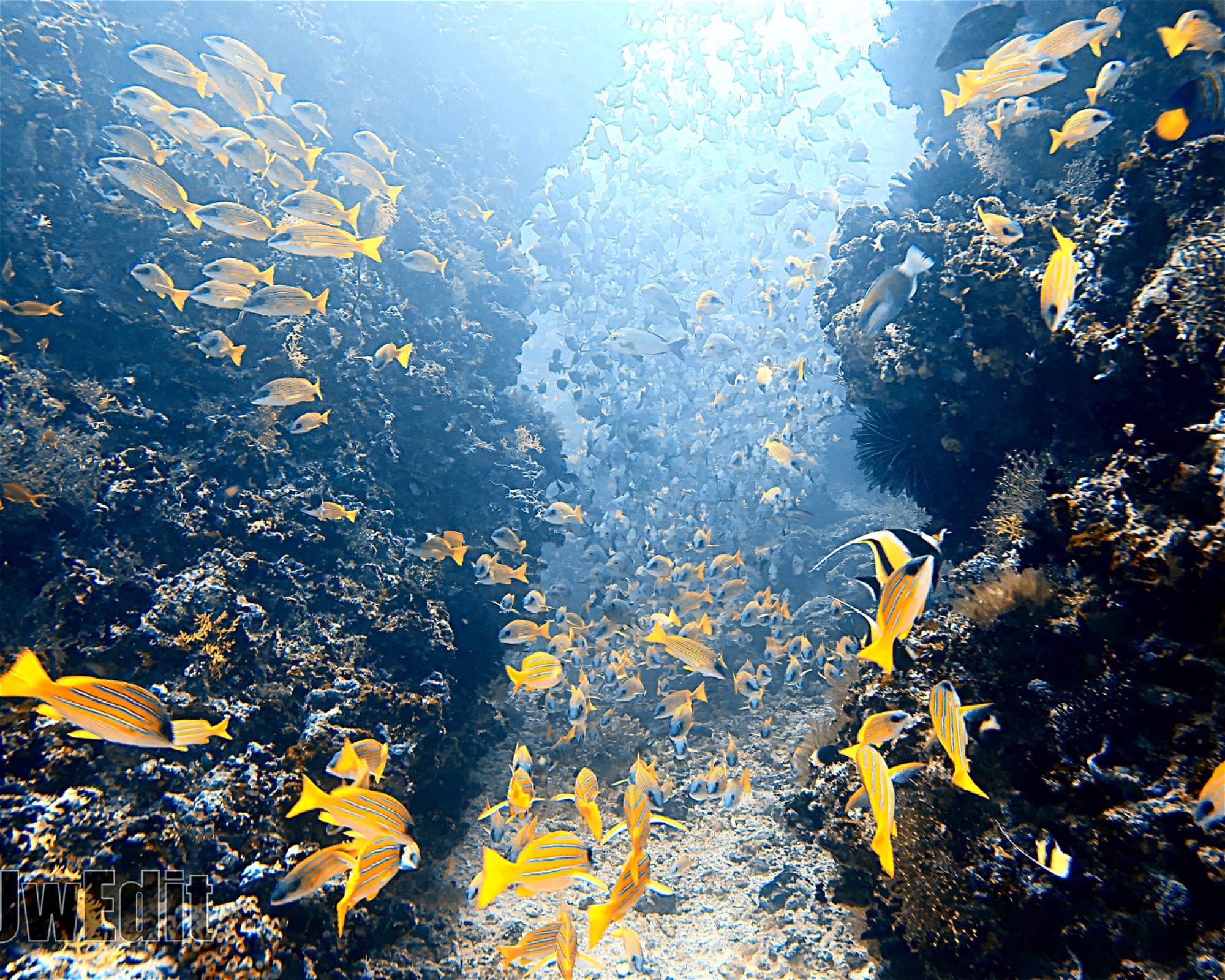 DivePoint Meedhupparu, 960 Meedhupparu