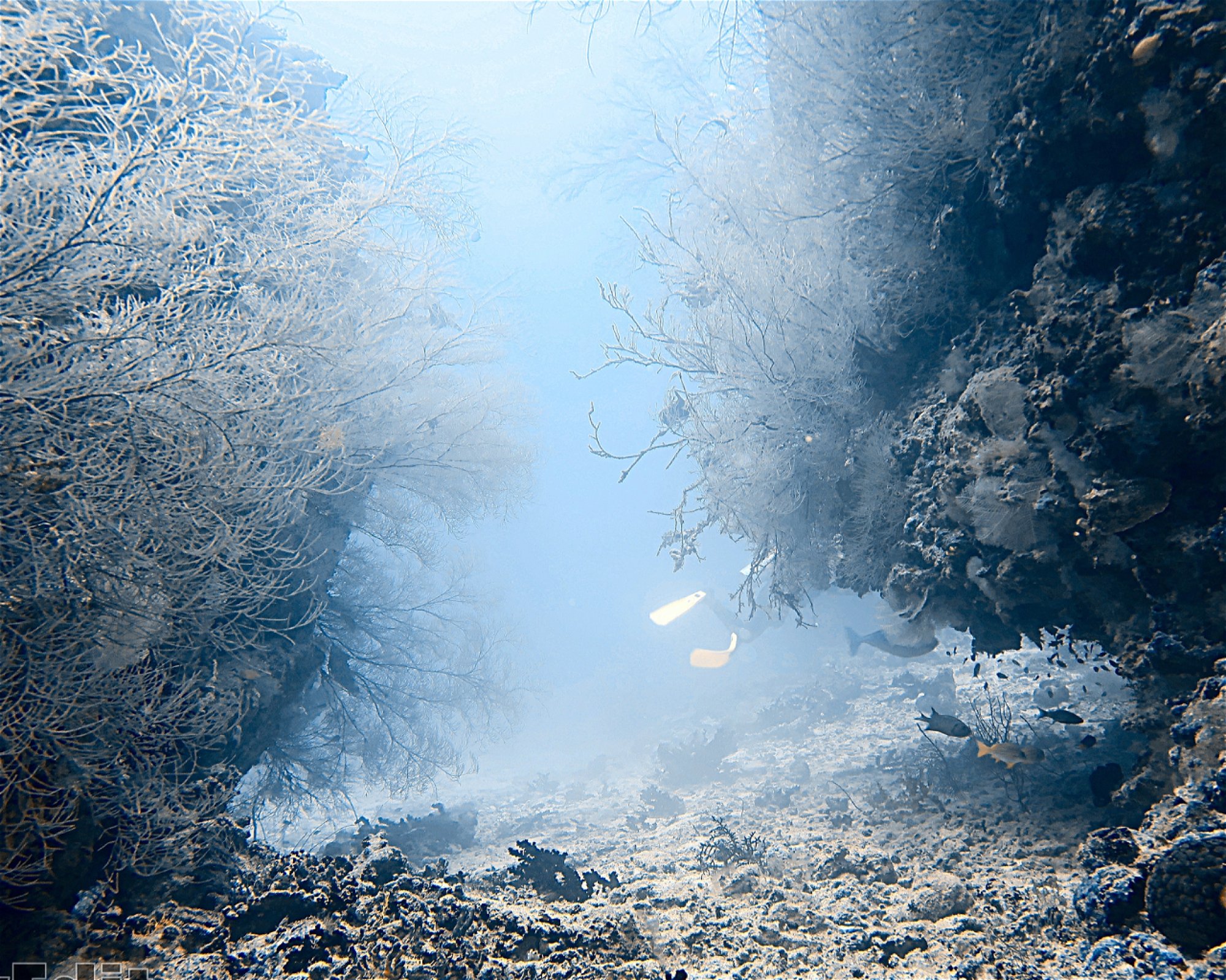 DivePoint Meedhupparu, 960 Meedhupparu