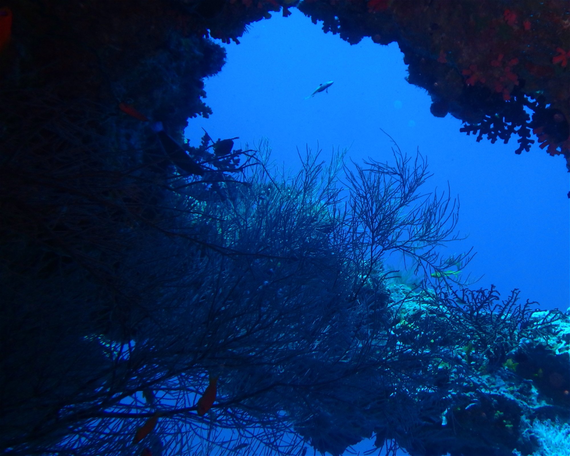 DivePoint Meedhupparu, 960 Meedhupparu