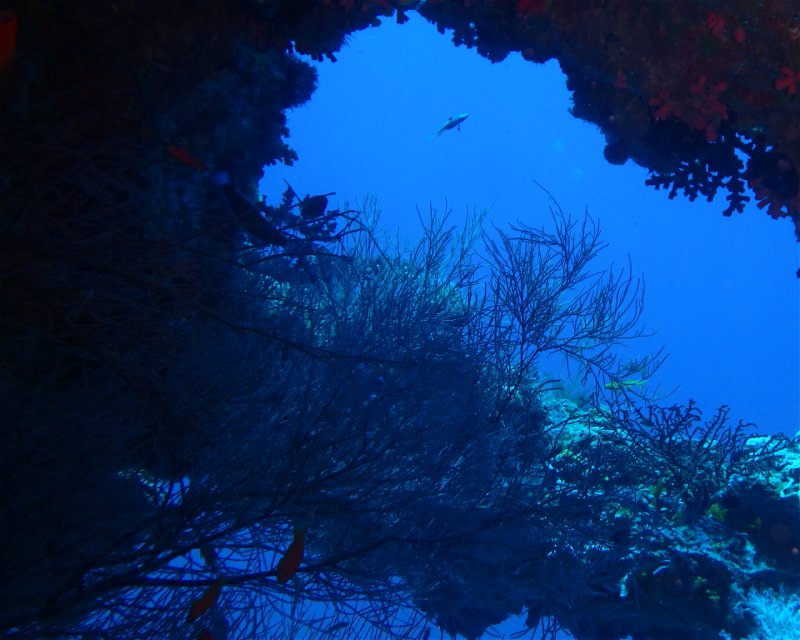 Divesite Image