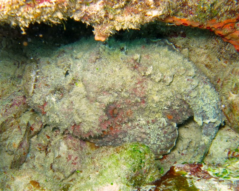 Divesite Image