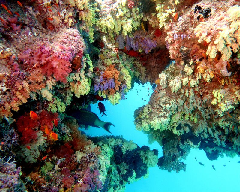 Divesite Image