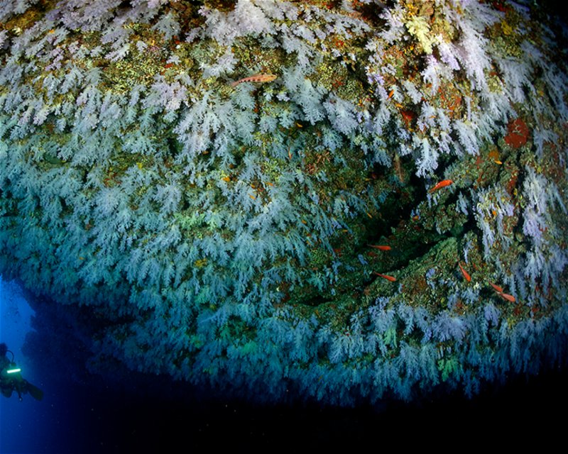 Divesite Image