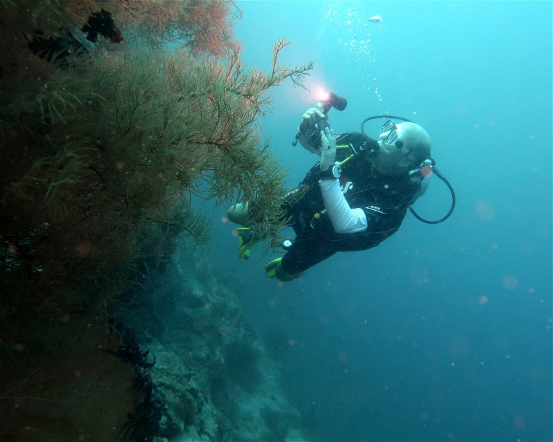 Divesite Image