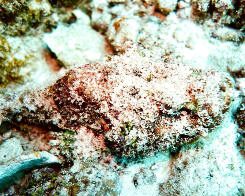 Divesite Image