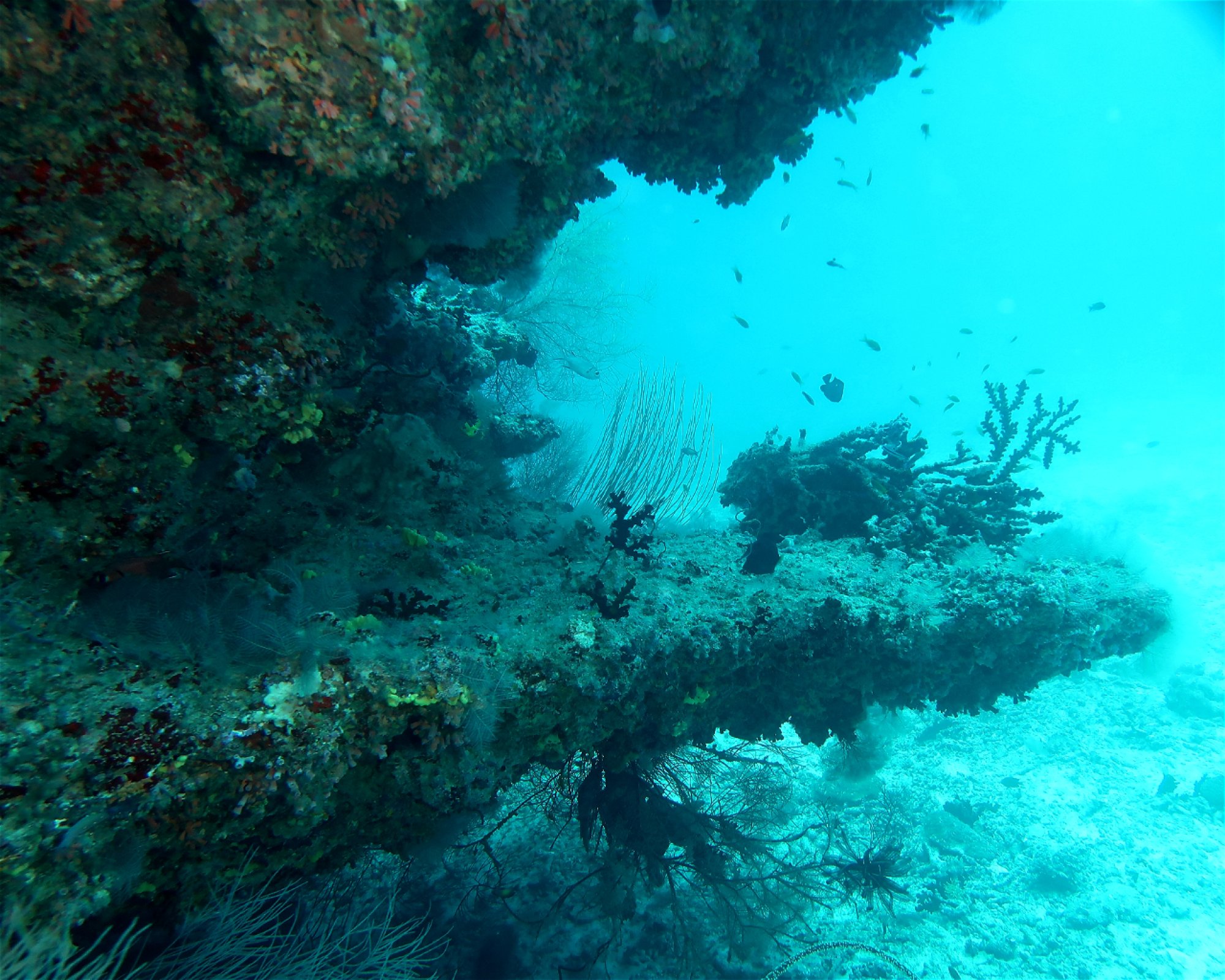 DivePoint Meedhupparu, 960 Meedhupparu