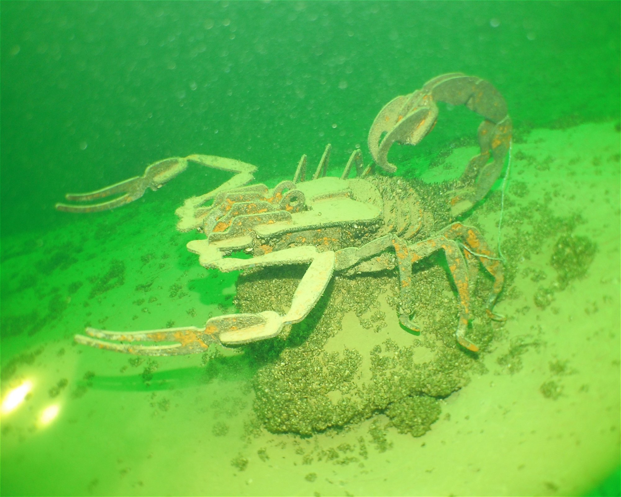 About Diving, 2560 Nidau