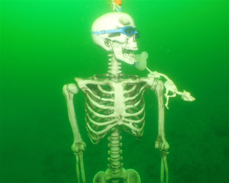 Divesite Image