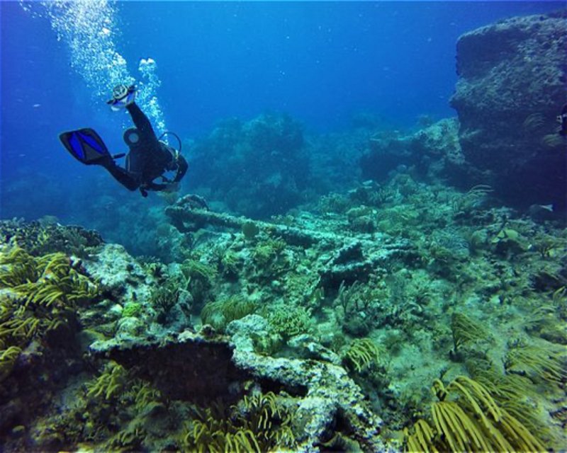 Divesite Image