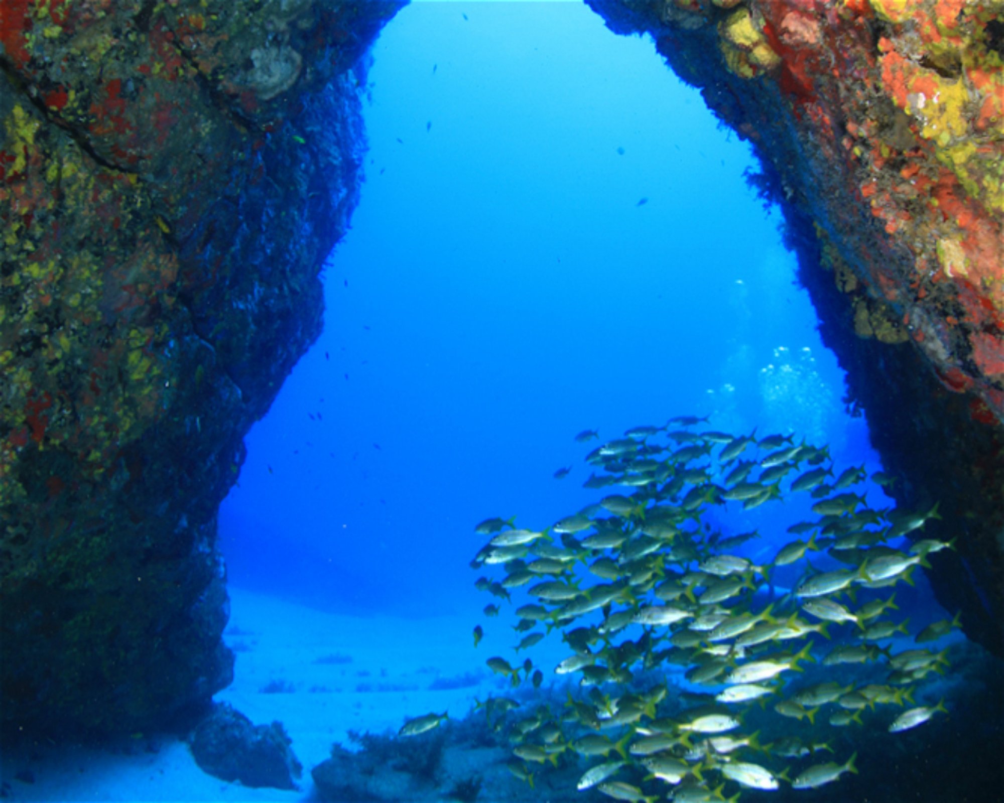 CNM DIVE, 13211-698 JUNDIAI