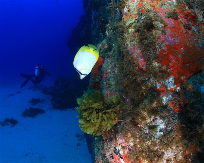 Divesite Image