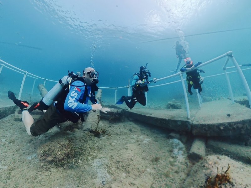Divesite Image