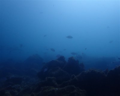 Pedra Boa <span class="text-color-primary text-sm"> (★4.4)</span>