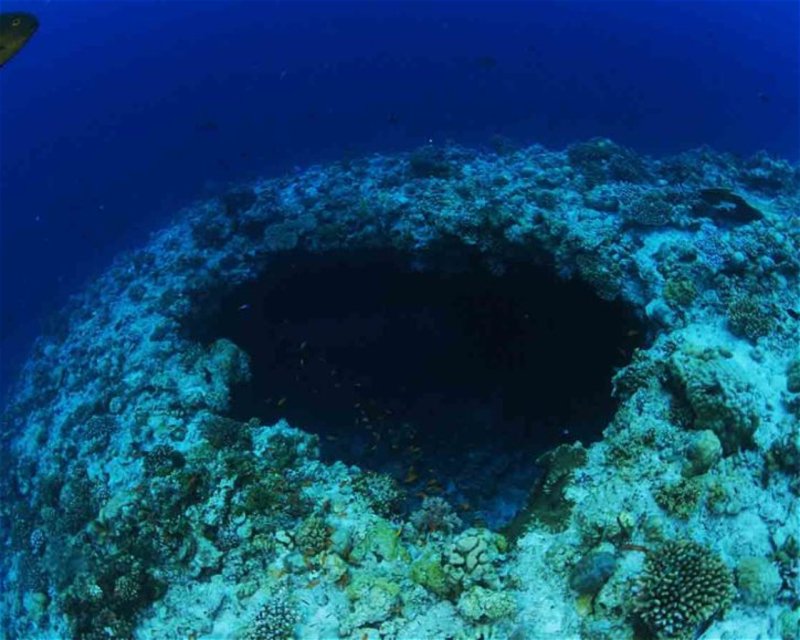 Divesite Image