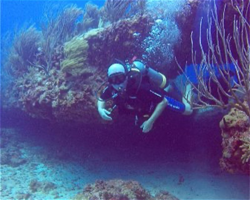 Divesite Image