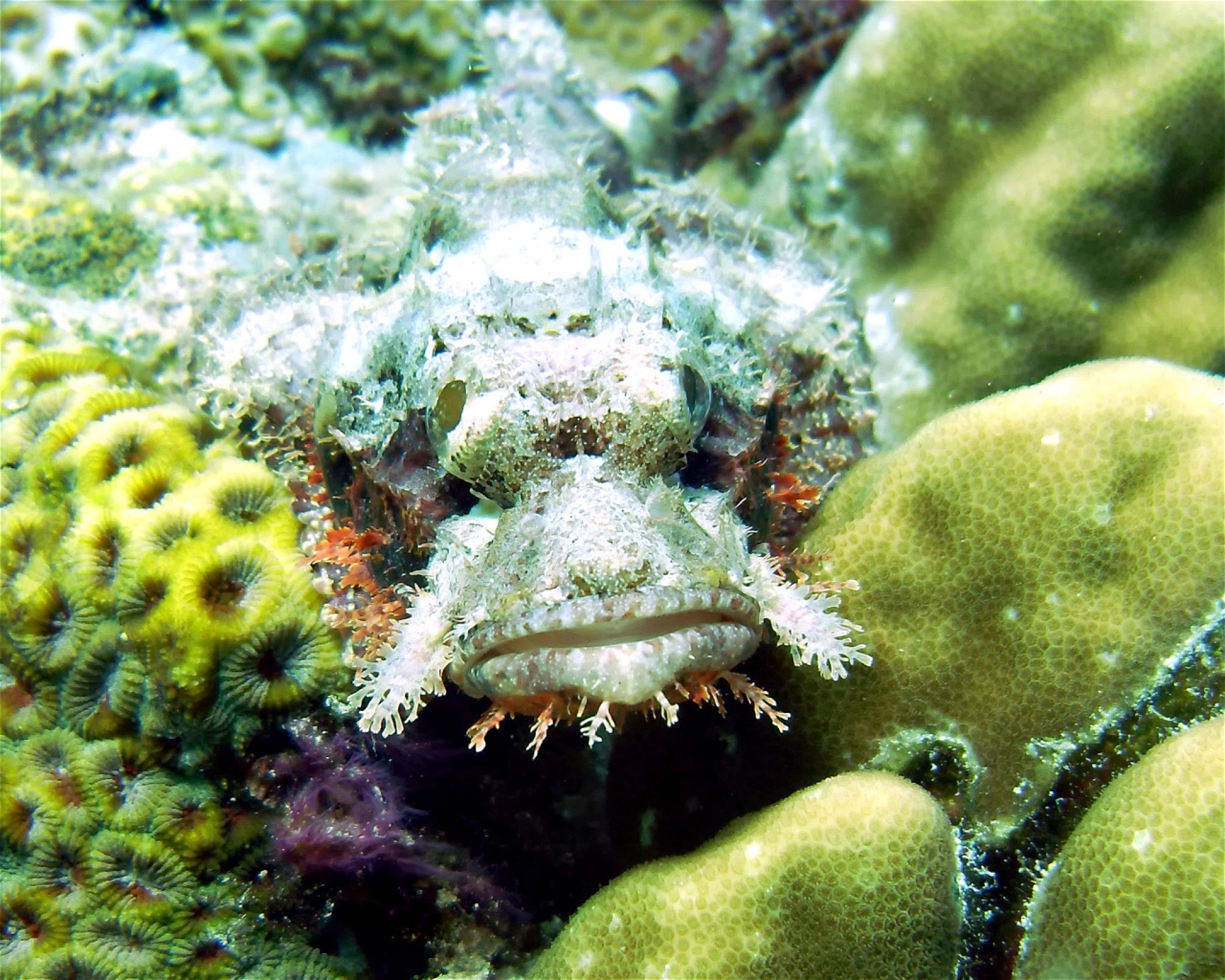 DivePoint Hudhuran Fushi, 20193 Male