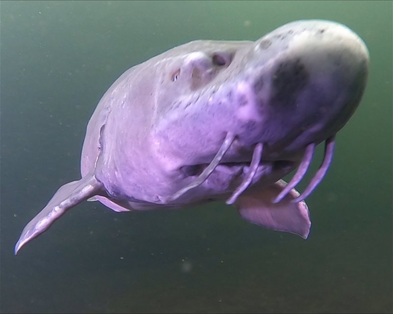 Divesite Image