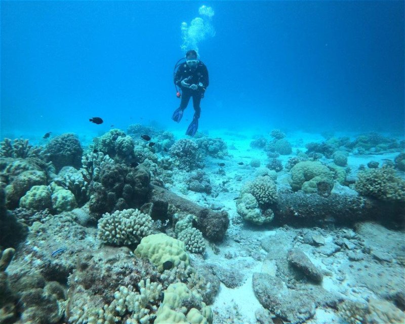 Divesite Image