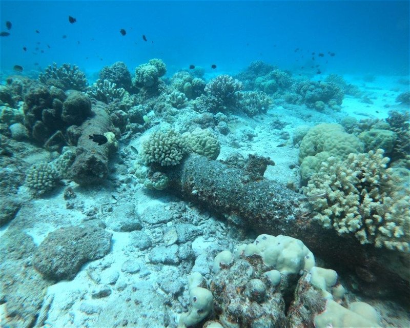 Divesite Image