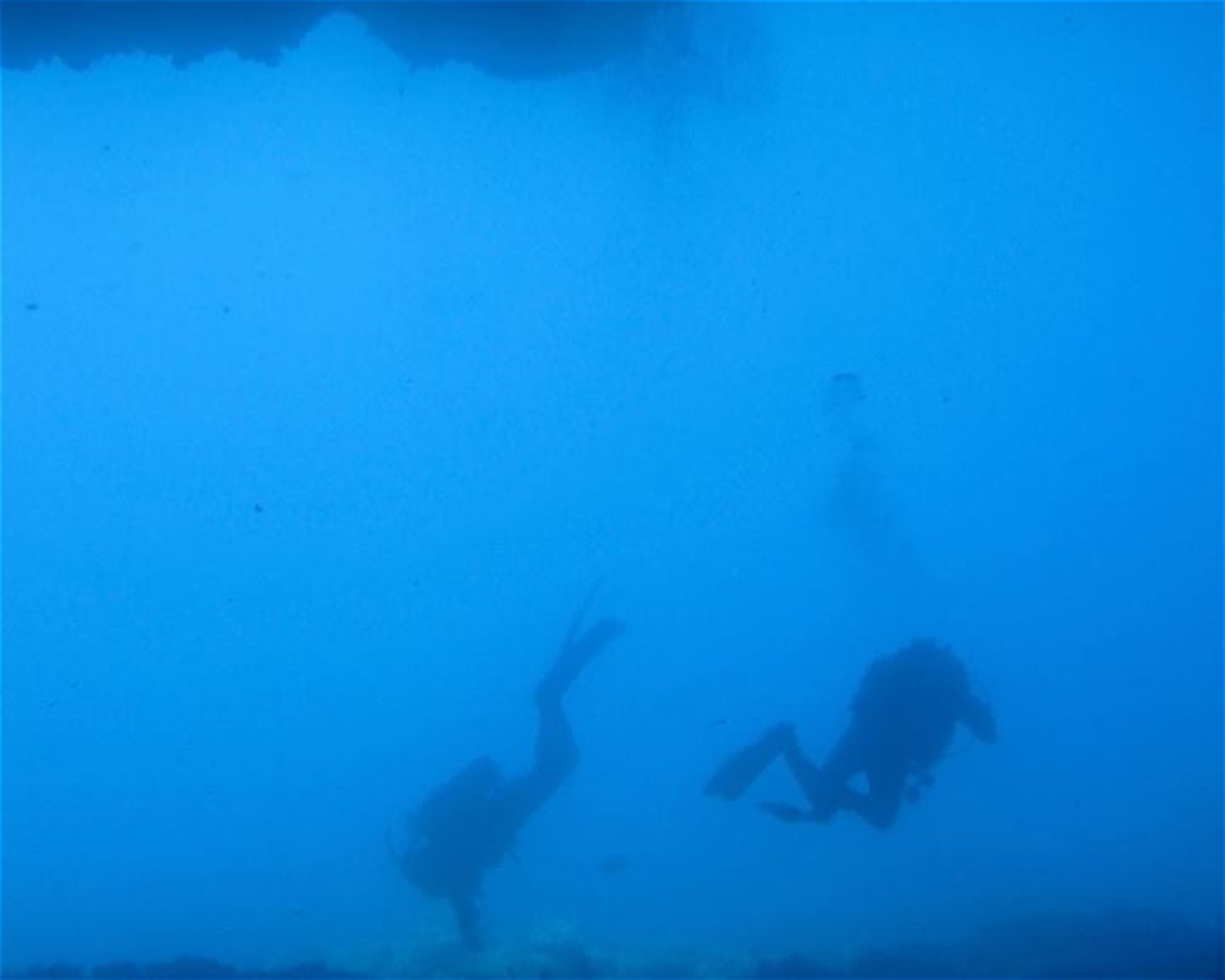 Gorgonia Diving Center, 34007 Skyros