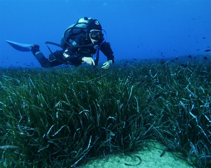 Divesite Image
