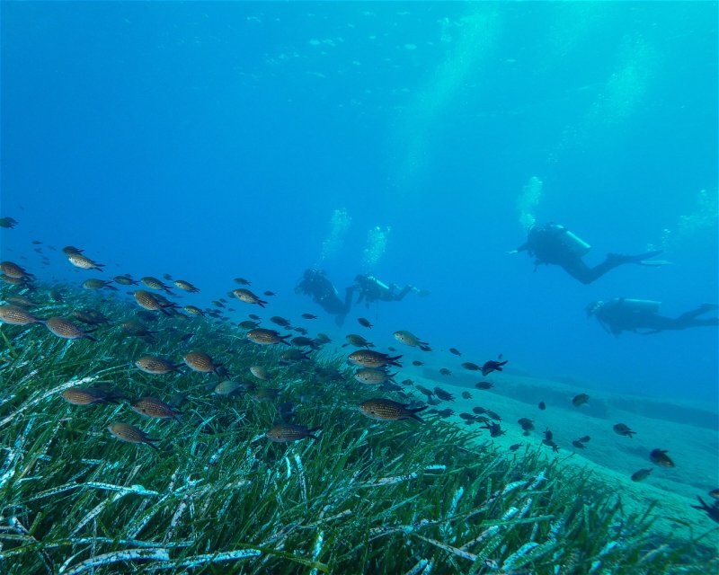 Divesite Image