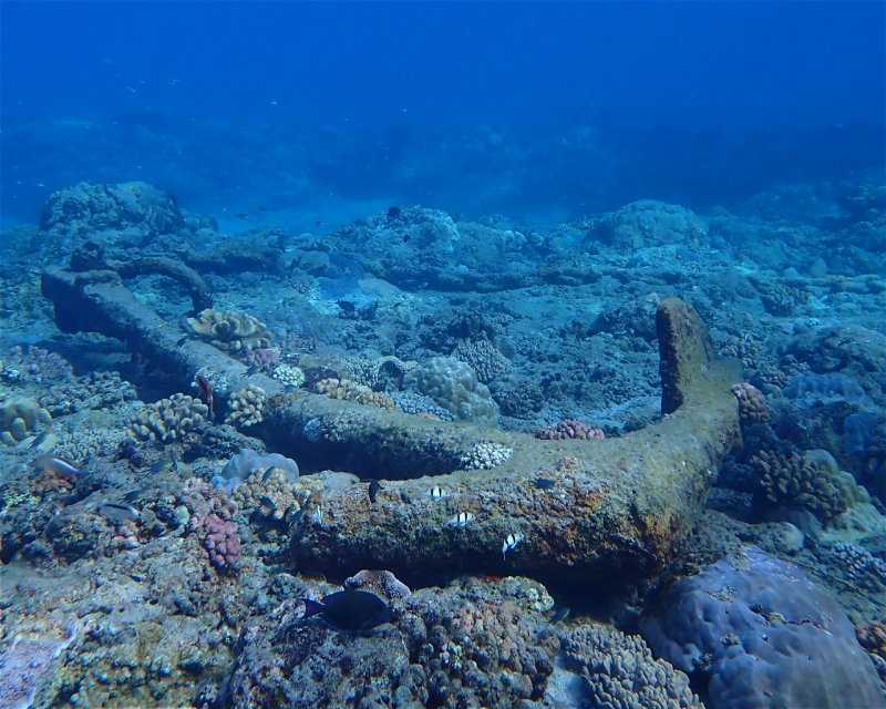 Divesite Image