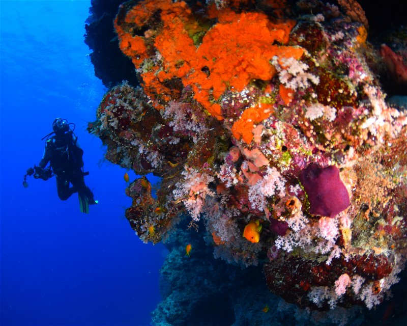 Divesite Image
