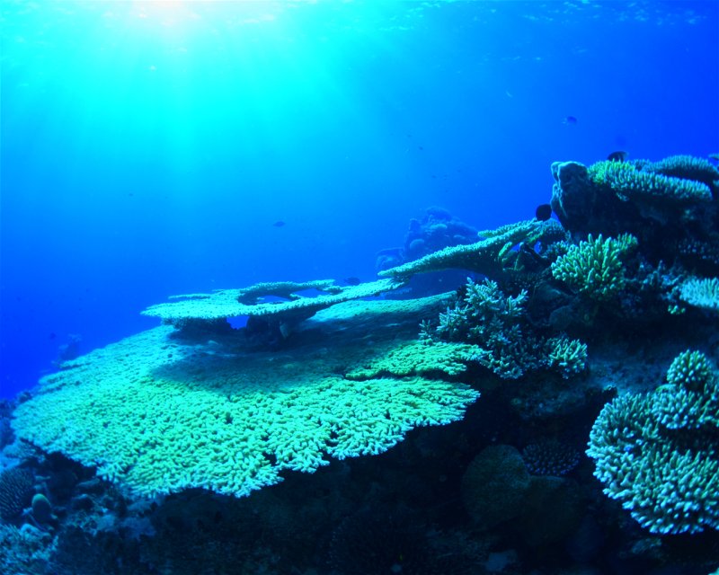 Divesite Image