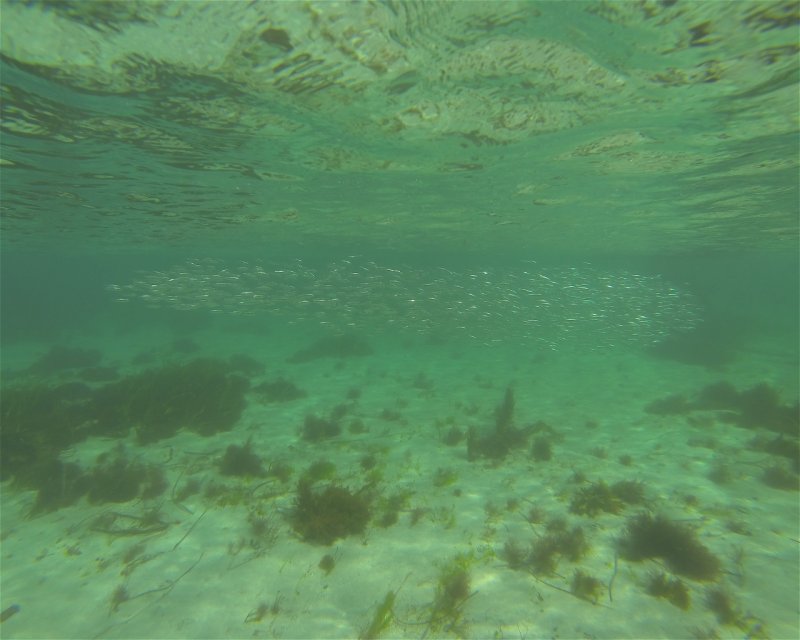 Divesite Image