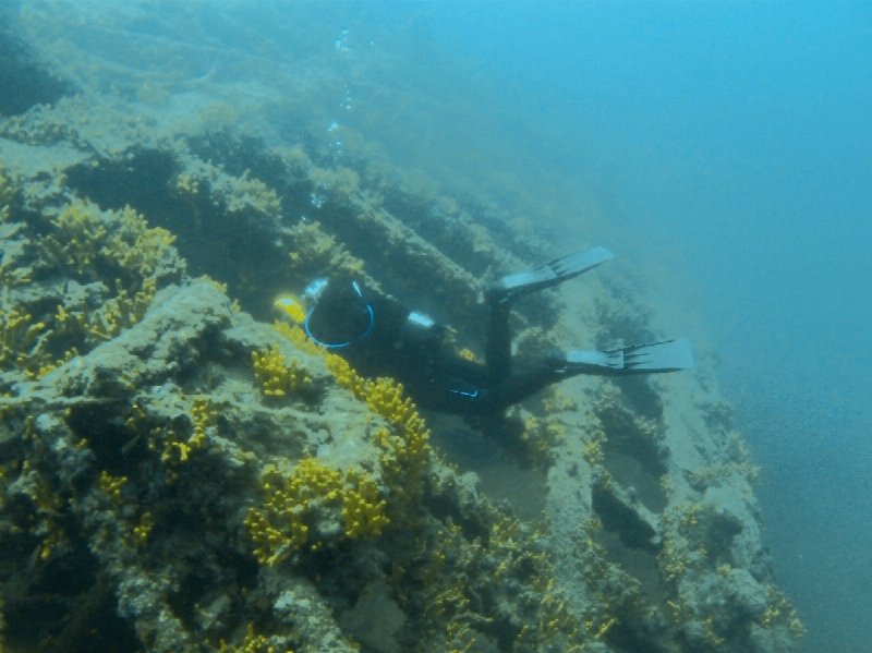 Divesite Image