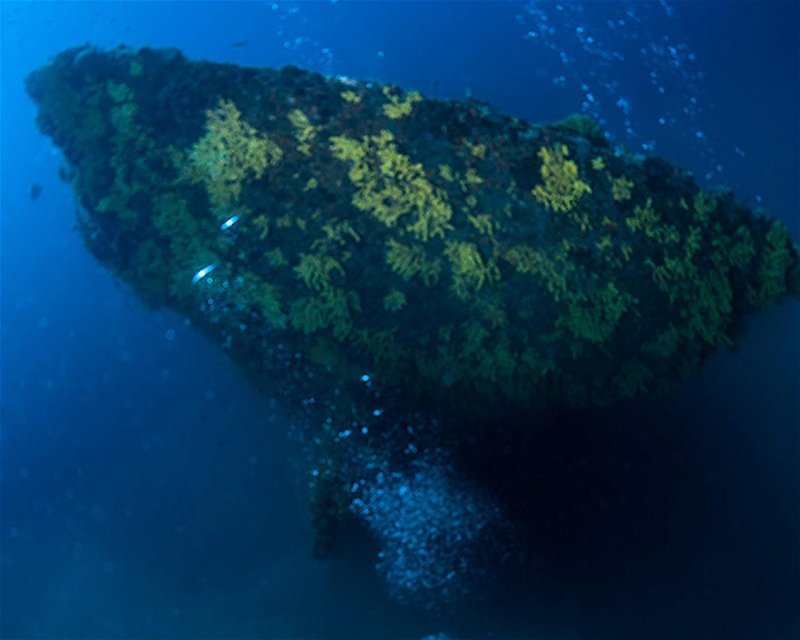 Divesite Image