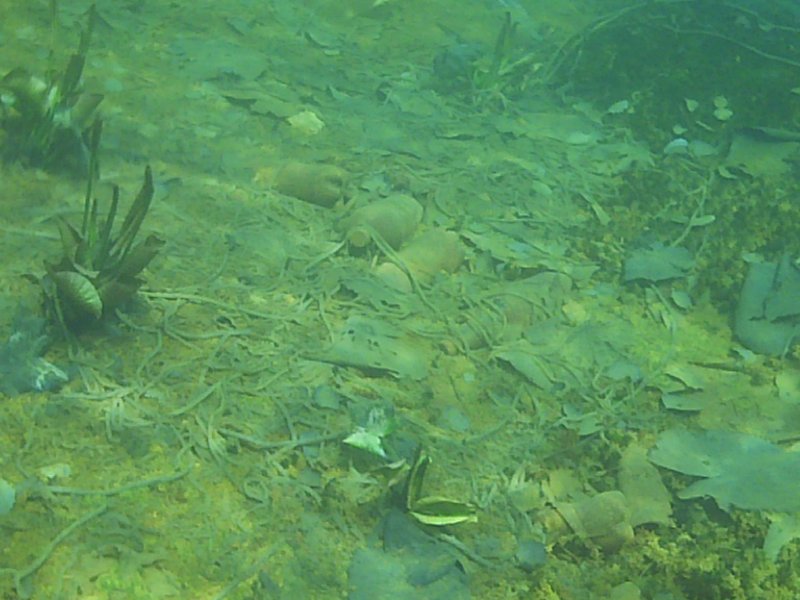 Divesite Image