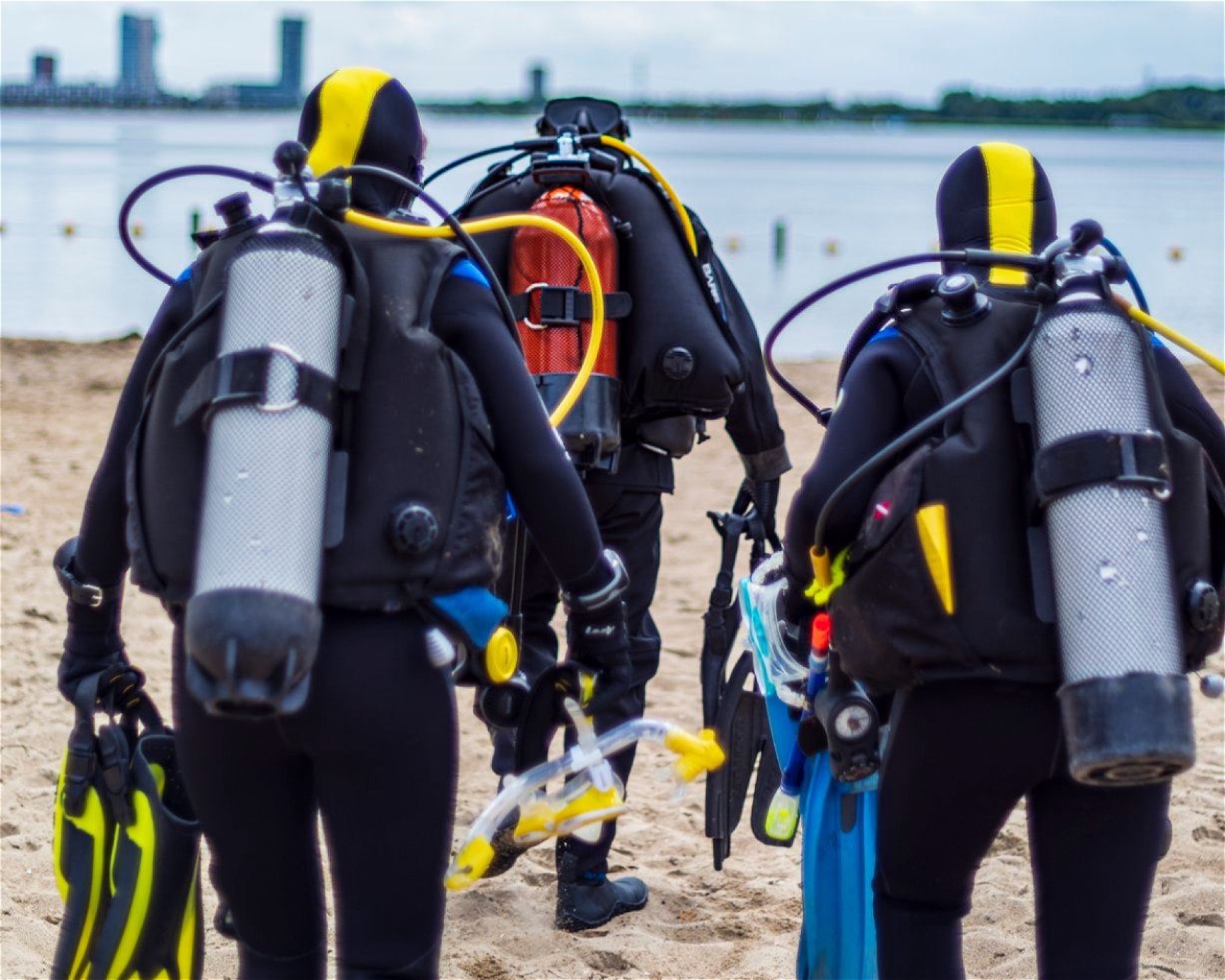 Haai Five Scuba Diving, 3028 HW Rotterdam