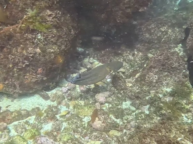 Divesite Image