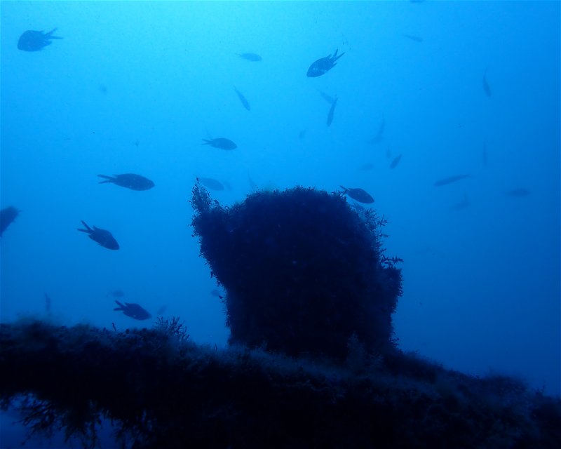 Divesite Image