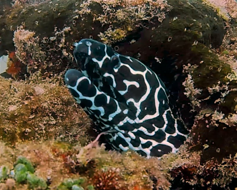 Divesite Image