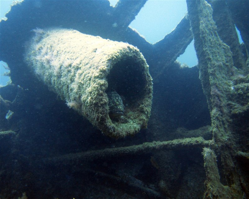 Divesite Image
