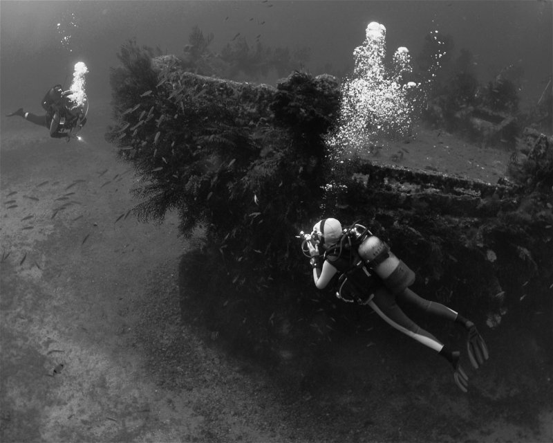 Divesite Image